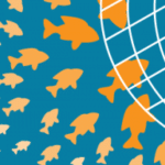 Inbound Marketing for Law Firms: Let the Fish Swim into Your Net