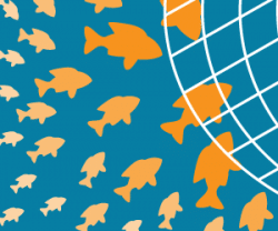 Inbound Marketing for Law Firms: Let the Fish Swim into Your Net