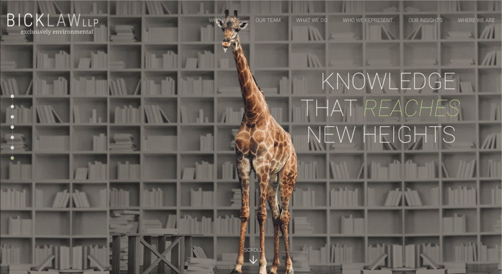 bick law knowledge that reaches new heights giraffe
